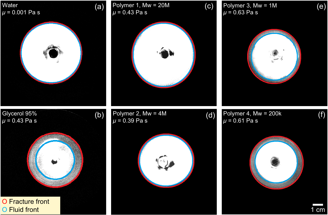 Figure 2: high-speed images comparing fracture and fluid fronts for water, glycerol, and four polymer solutions