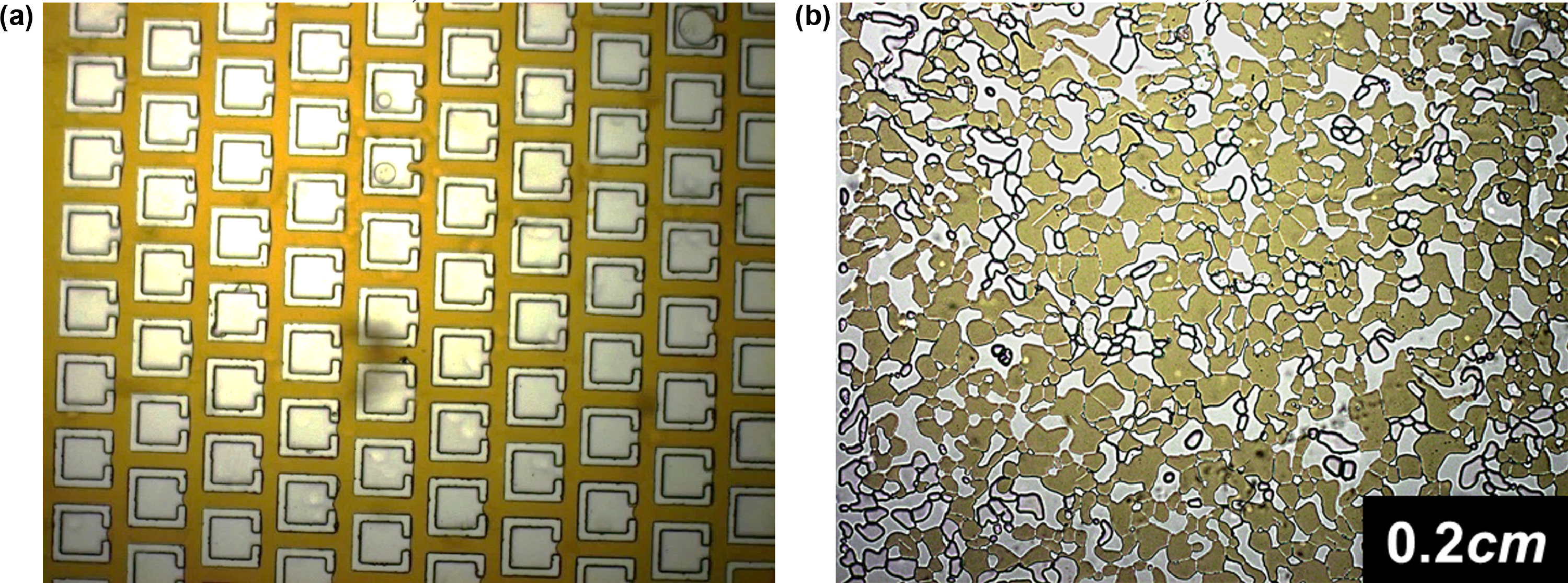Paper images comparing a patterned micromodel with pore-scale fluid distributions
